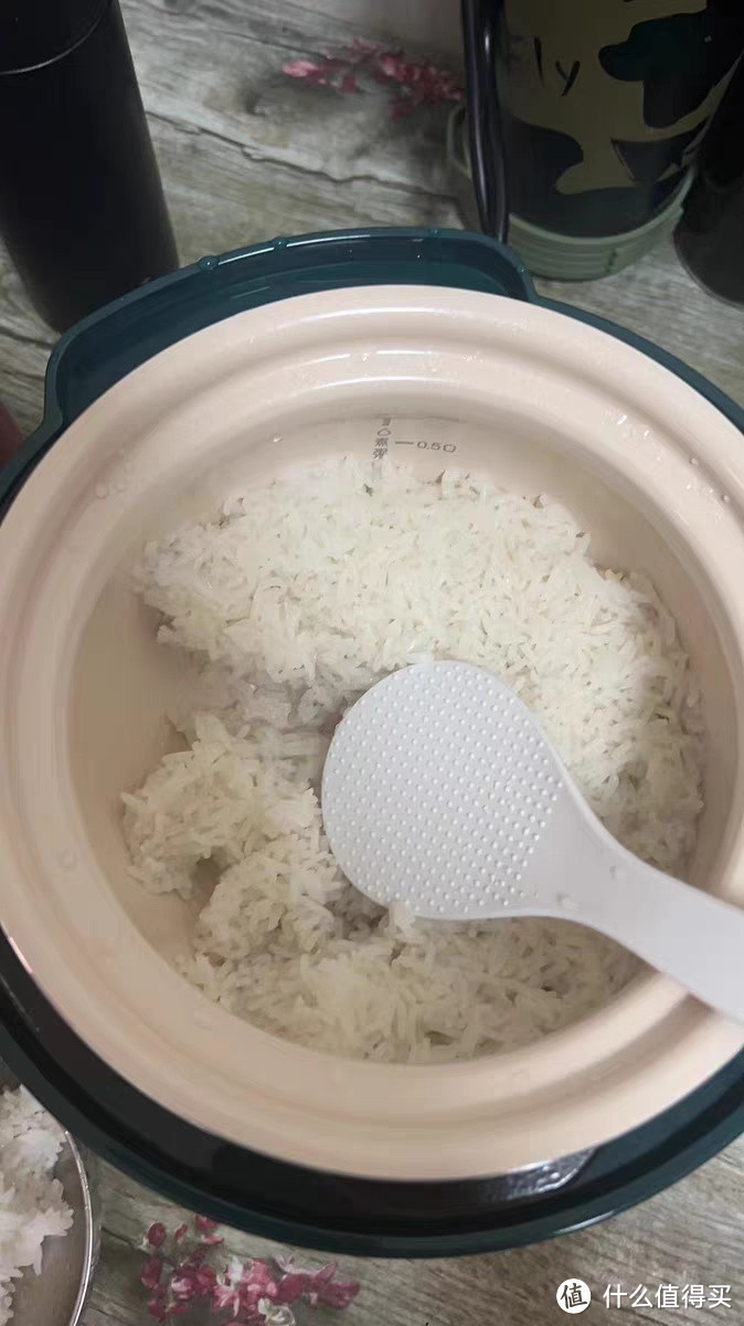 苏泊尔电压力锅家用2-3人小型智能迷你多功能小饭煲高压官方正品1